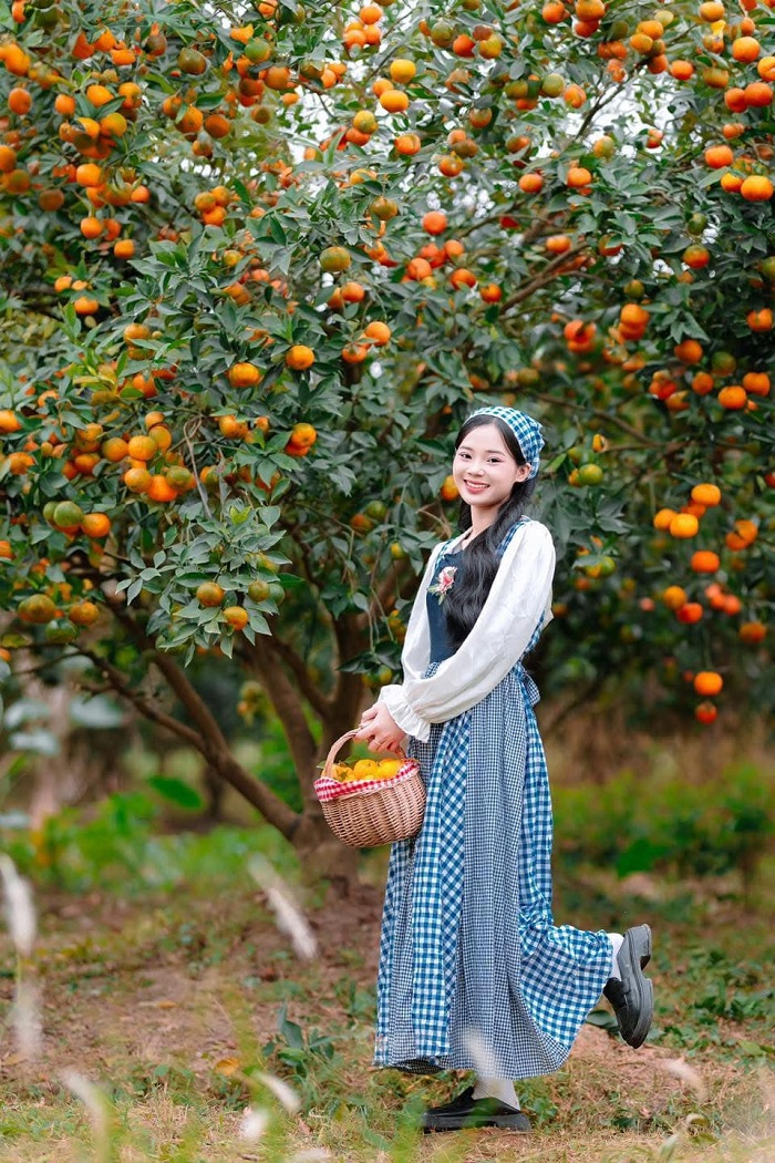 Làng nghề quất cảnh Tàm Xá thu hút khách du lịch Đông Anh Hà Nội dịp Tết đến xuân sang