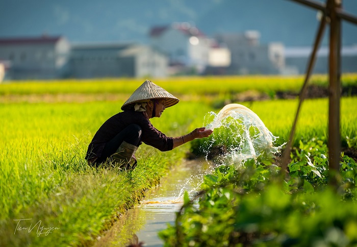 Thung lũng Bắc Sơn đẹp như tranh vẽ trong Du lịch Lạng Sơn mùa nước nổi mùa nước nổi