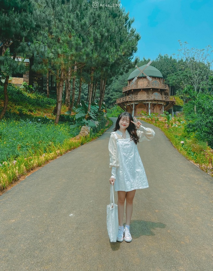 Du lịch Vân Hồ Sơn La tới rừng thông Hua Tạt như Đà Lạt thu nhỏ