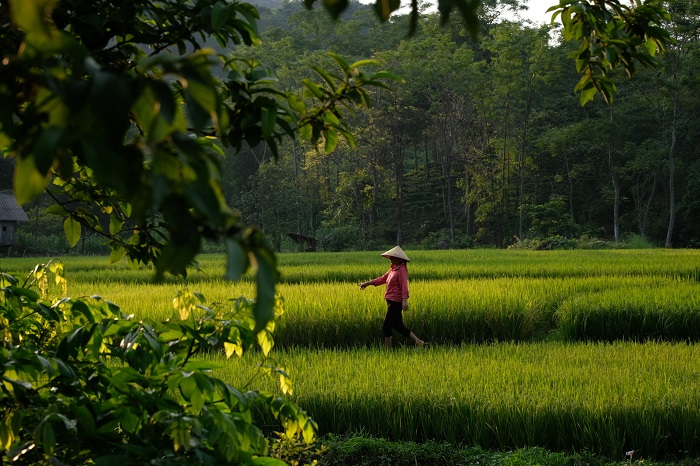 Lập team du lịch Vân Hồ Sơn La ngay thôi nào