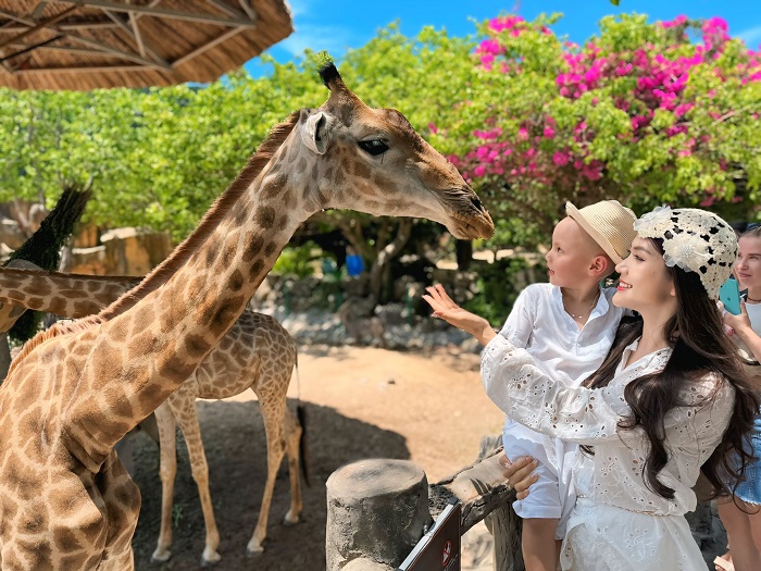 kinh nghiệm đi vui chơi ở vinwonder vũ yên hải phòng vui hết nấc khi ghé vườn thú Safari