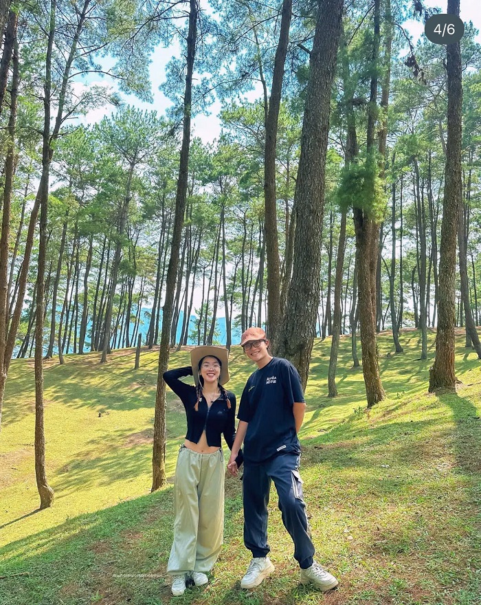 kinh nghiệm du lịch rừng thông Yên Minh nằm ở huyện Yên Minh, tỉnh Hà Giang cũ