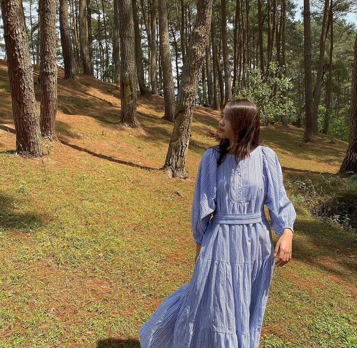 kinh nghiệm du lịch rừng thông Yên Minh ngay thôi nào