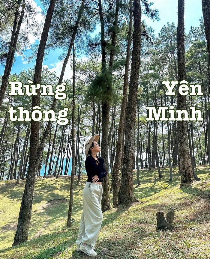 kinh nghiệm du lịch rừng thông Yên Minh thu hút du khách ghé thăm bất kỳ thời điểm nào