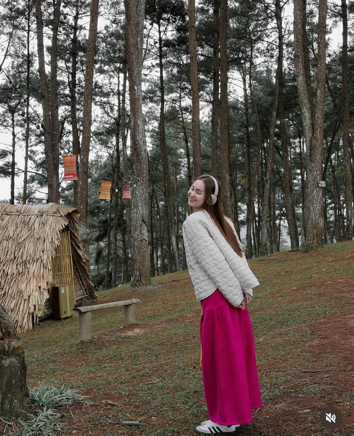 kinh nghiệm du lịch rừng thông Yên Minh là nơi chữa lành lý tưởng