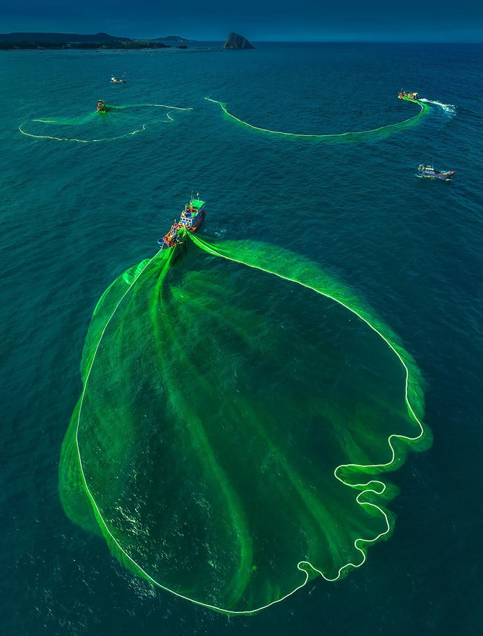 Mùa lưới vây cá cơm Hòn Yến Phú Yên Đắk Lắk thường bắt đầu từ tháng 1 tới tháng 8 âm lịch