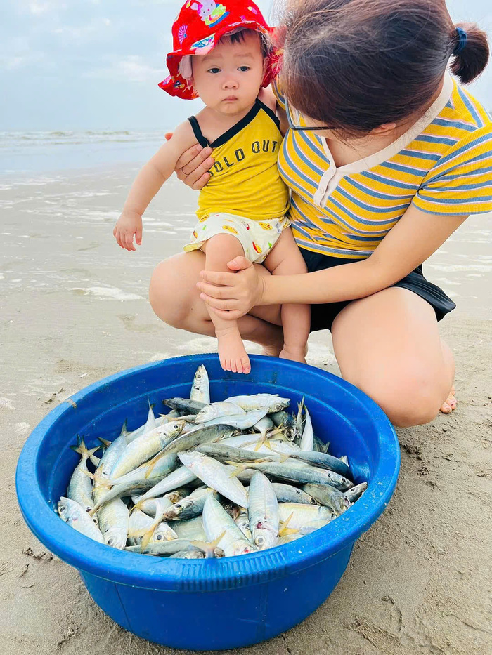 Mua hải sản tươi ở bãi biển Hải Lĩnh Thanh Hoá 