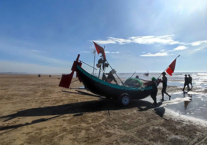 Mua hải sản tươi ở bãi biển Hải Lĩnh Thanh Hoá 