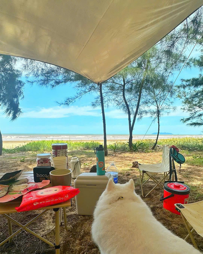 Ghé thăm khám phá bãi biển Hải Lĩnh Thanh Hoá