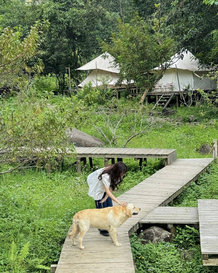 Mùa nào ở bản Tả Van Giáy Sapa cũng đẹp nên thơ