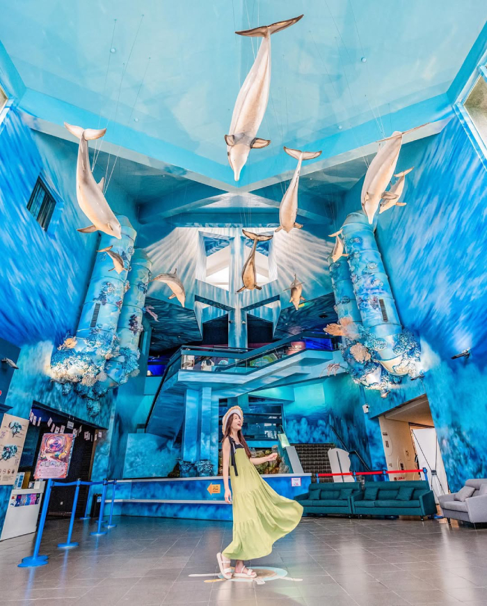 Thủy cung là điểm đến thú vị nhất mà bạn nên trải nghiệm