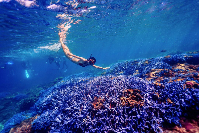 Đảo Jibei với bãi biển trong xanh và sinh vật biển phong phú