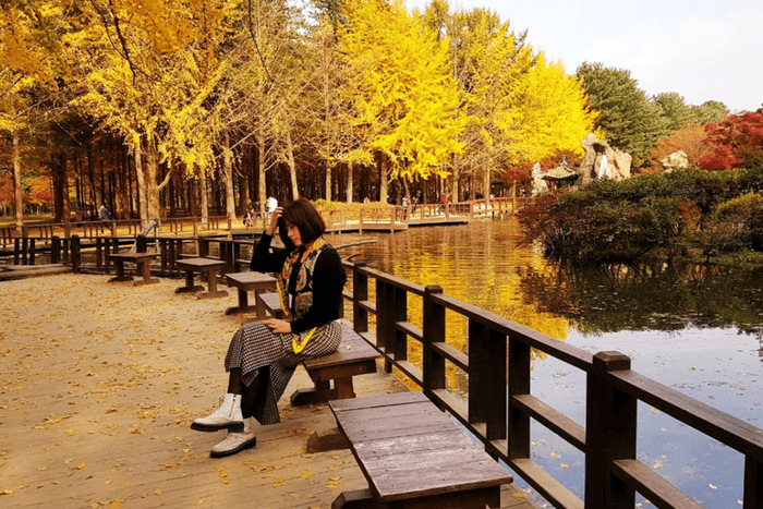 cẩm nang du lịch Daegu Hàn Quốc mùa thu