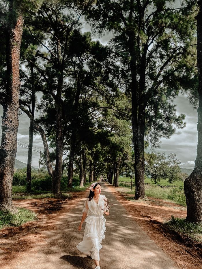 Cẩm nang du lịch Gia Lai sau sáp nhập hàng thông