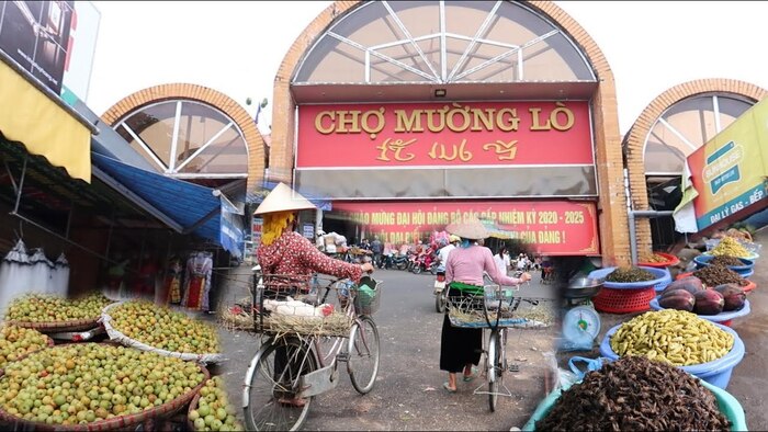 Cẩm nang du lịch Nghĩa Lộ Yên Bái Lào Cai: Tham quan Chợ Mường Lò