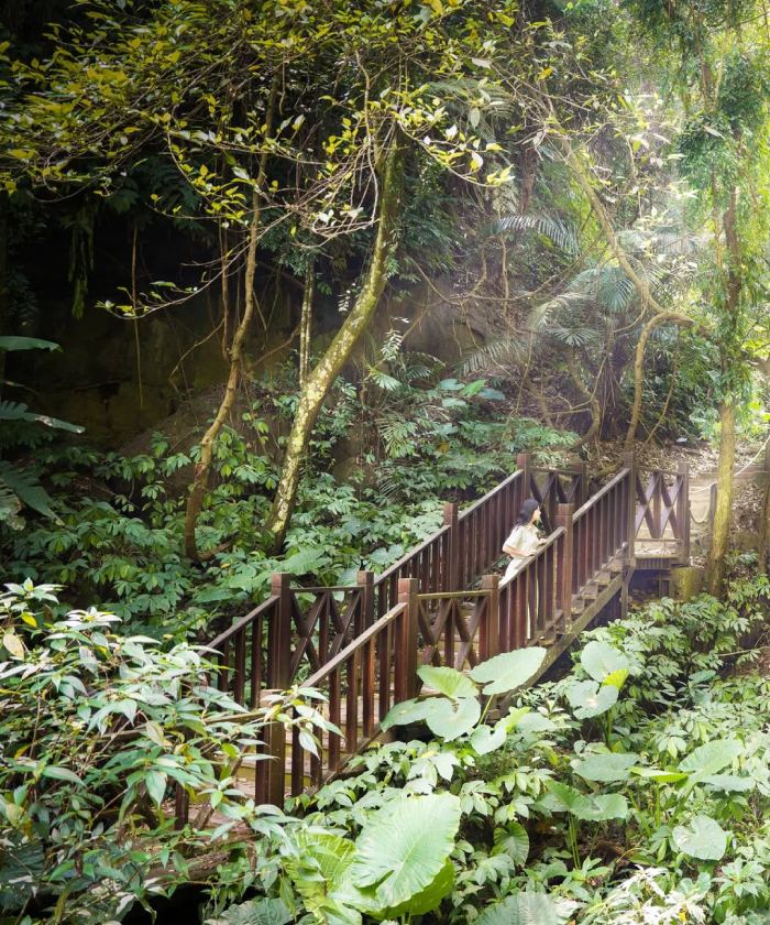 Núi Đầu Sư Tử là điểm trekking trong lành và mang giá trị văn hóa lớn