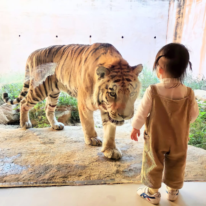 Sở thú Tân Trúc là điểm vui chơi lý tưởng cho cả gia đình