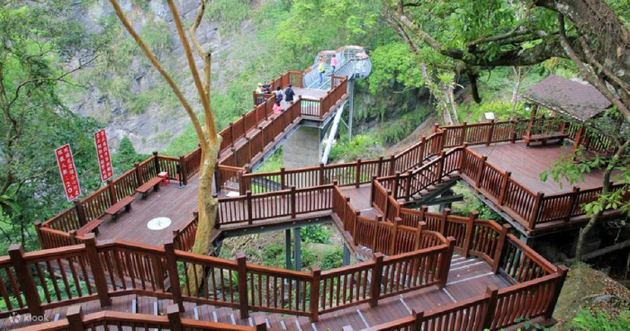 Cung đường đi bộ cho bạn sạc năng lượng ngay trong rừng