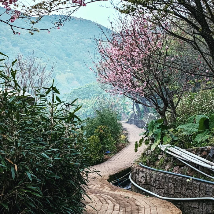 Con đường mòn lên núi hữu tình đẹp như tranh