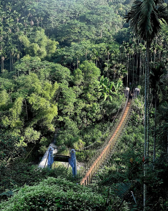 Cầu tình nhân lơ lửng giữa thung lũng