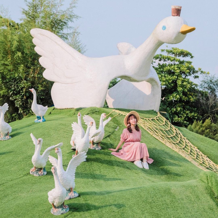 Công viên thơ mộng với không gian ngập tràn hình ảnh ngỗng