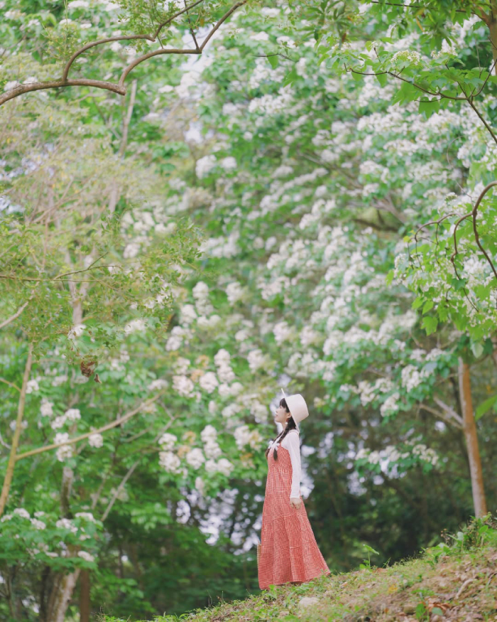 Đồi Vân Lâm với cảnh sắc hữu tình