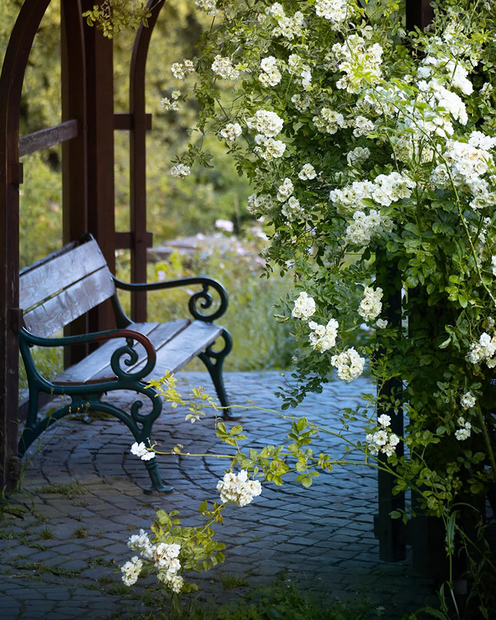 Công viên Rosengarten (Vườn Hồng) gần cầu Untertor Brucke châu Âu