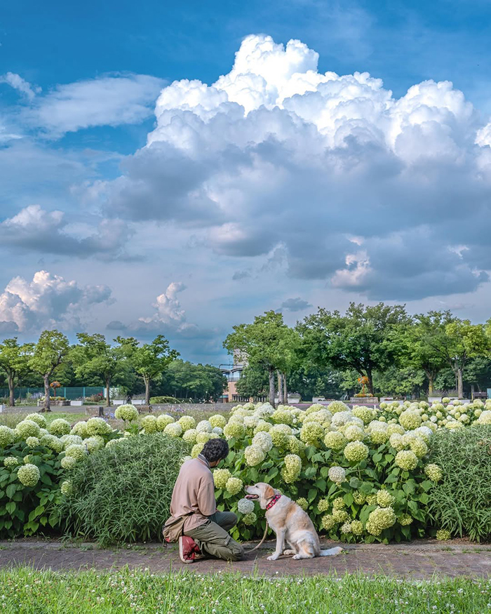 Cho trẻ em vui chơi tại khu giải trí ngoài trời