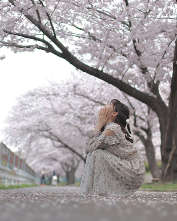 Ngắm hoa anh đào vào mùa xuân tại công viên Arakogawa nhật bản