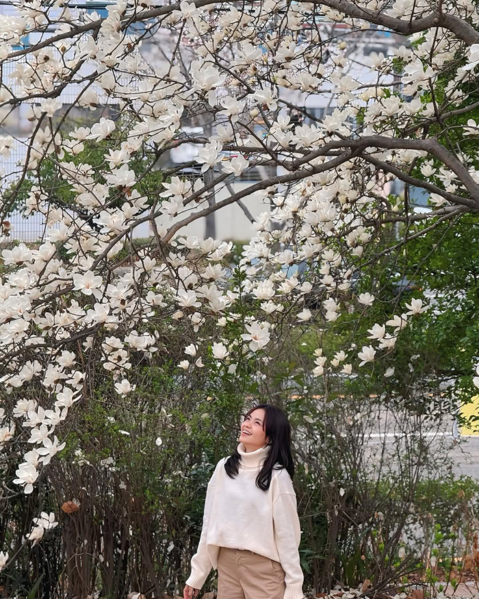 Đôi nét về công viên sinh thái Samnak Hàn Quốc