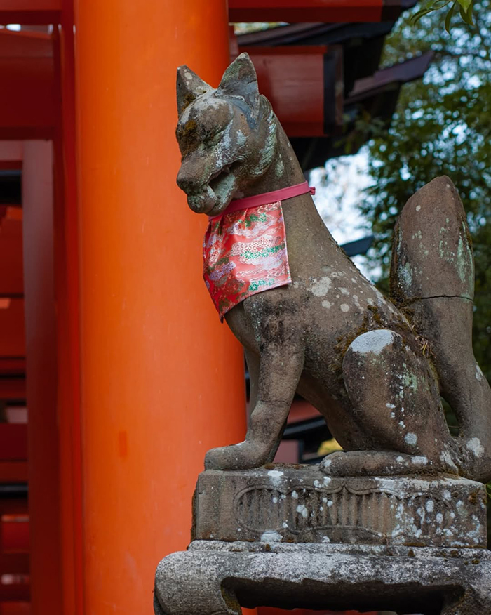 Những chú cáo (kitsune) - Sứ giả của thần Inari