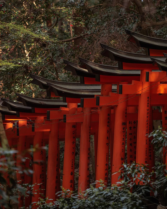 Đền Fushimi Inari Nhật Bản có gì thú vị?