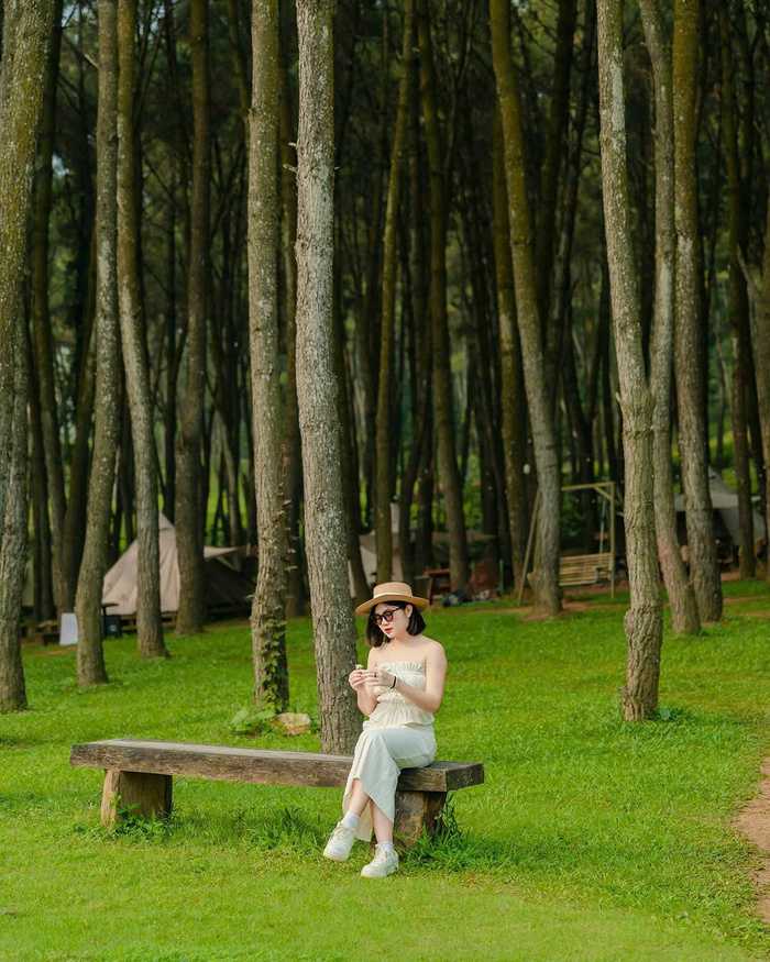 Địa điểm cắm trại ở Ninh Bình - Đồi thông Nho Quan