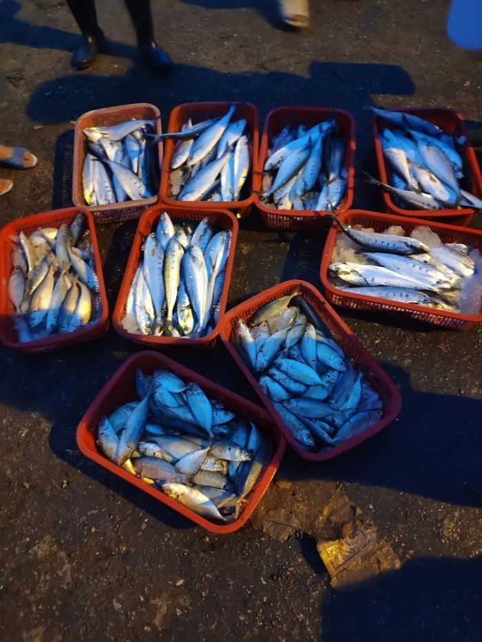 Du lịch Cửa Tùng Quảng Trị bánh đúc rau câu Du lịch Cửa Tùng Quảng Trị bánh đúc rau câu