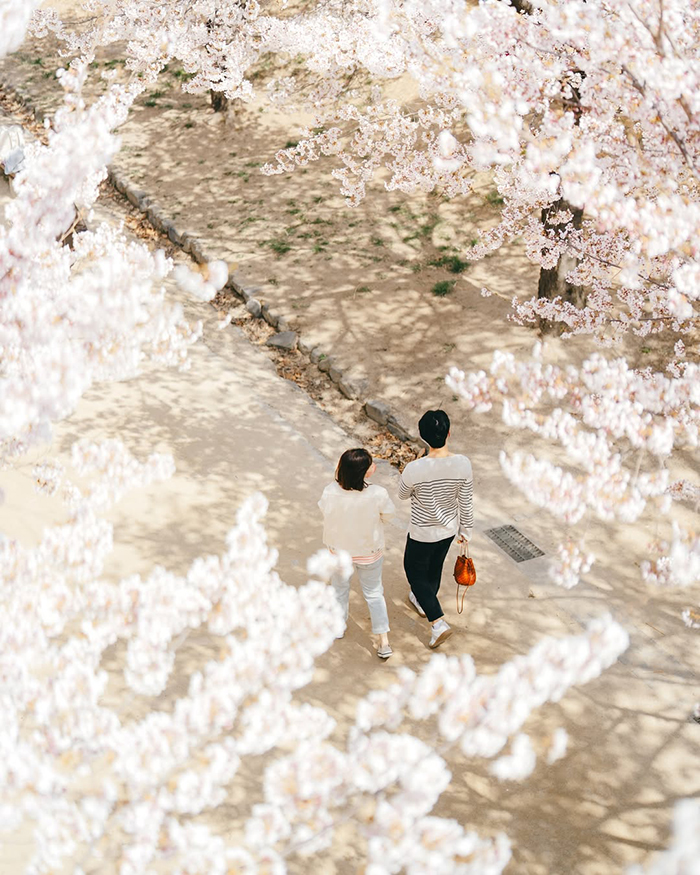 Thời điểm lý tưởng du lịch hồ Seokcheon hàn Quốc