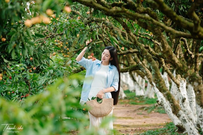 Khám phá các khu du lịch sinh thái ở Hải Phòng - Khu sinh thái Đồng Mẩn Hải Dương