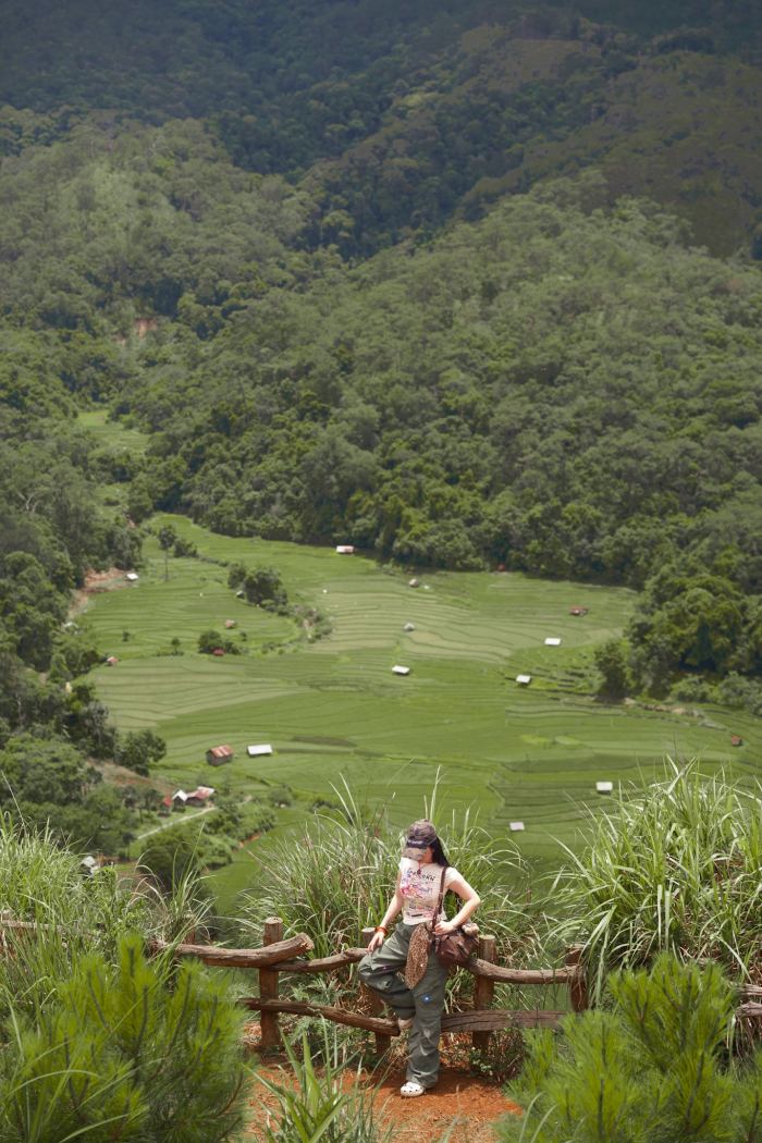 Kinh nghiệm du lịch Măng Đen 2 ngày 1 đêm