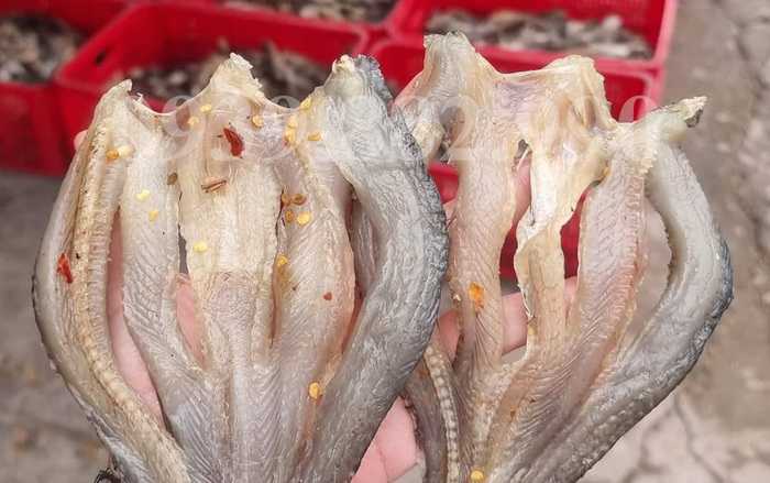 Các món ăn đặc sản Hòn Sơn Kiên Giang An Giang - Hải sản khô một nắng