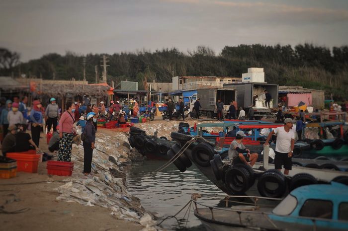 Mùa tôm bạc ở Phú Quý – Khi biển gọi từng con tôm tinh khiết