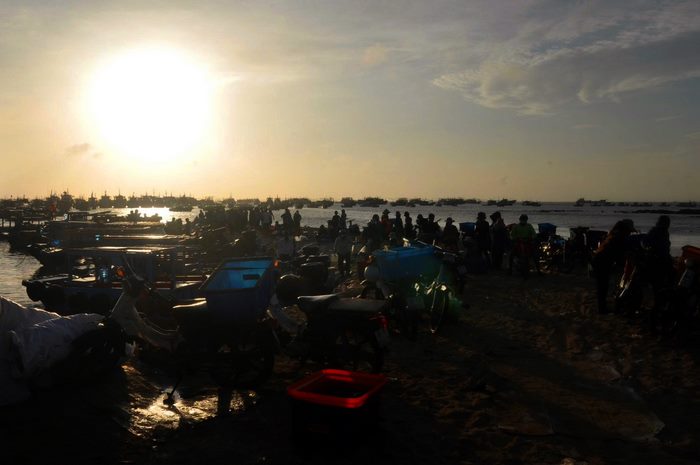 Mùa tôm bạc ở Phú Quý – Khi biển gọi từng con tôm tinh khiết