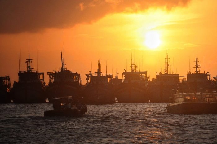 Mùa tôm bạc ở Phú Quý – Khi biển gọi từng con tôm tinh khiết