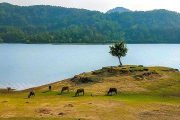 Dắt túi cẩm nang du lịch Thái Nguyên sau sáp nhập vui quên lối về