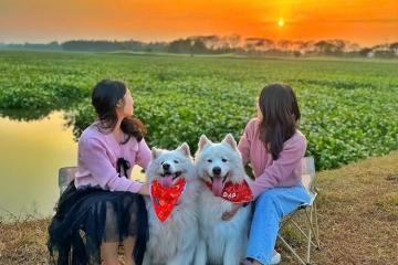 Du lịch Đông Anh Hà Nội: Vùng đất địa linh bên bờ sông Hồng