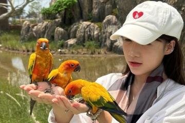 Tất tần tật kinh nghiệm đi vui chơi ở Vinwonder Vũ Yên Hải Phòng