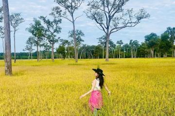 Cuối tuần tới làng Tà Lài Tân Phú Đồng Nai chữa lành