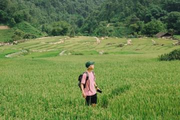 Bản Tả Van Giáy Sapa: Nốt lặng của miền Tây Bắc