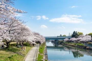 Công viên Arakogawa Nhật Bản - Góc thanh bình giữa lòng Nagoya