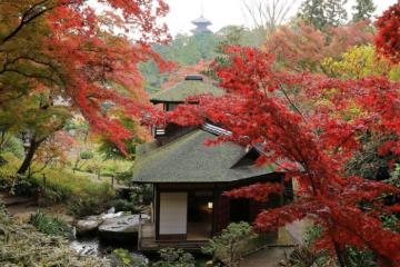 Vườn Sankeien Nhật Bản - Chốn thanh bình giữa lòng Yokohama