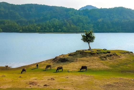 Dắt túi cẩm nang du lịch Thái Nguyên sau sáp nhập vui quên lối về