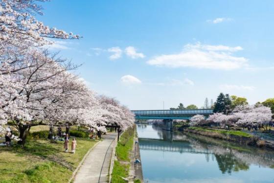 Công viên Arakogawa Nhật Bản - Góc thanh bình giữa lòng Nagoya